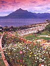 Isle of Skye, Cuillin Hills