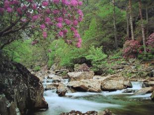 Snowdonia National Park